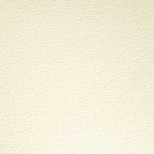 IVORY #140