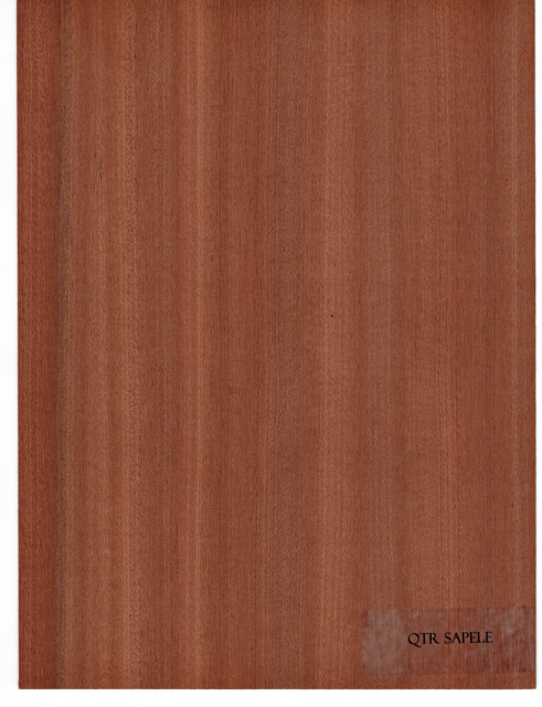 SAPELE QTR.