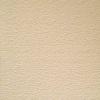 *BEIGE #106