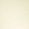 IVORY #140